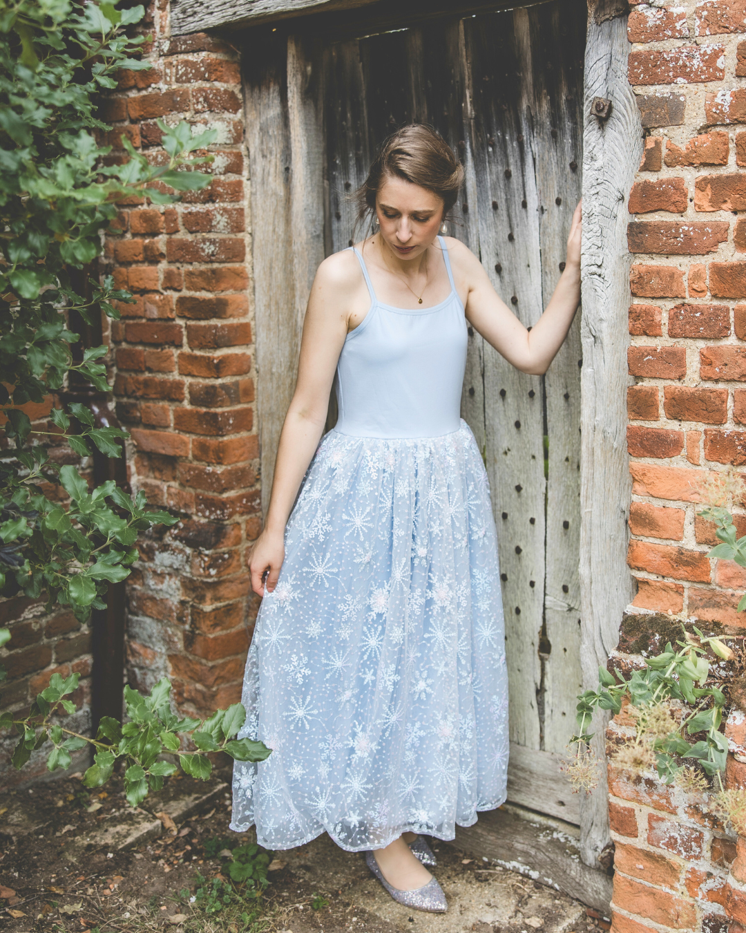 Elsa Inspired Princess Adult Dress