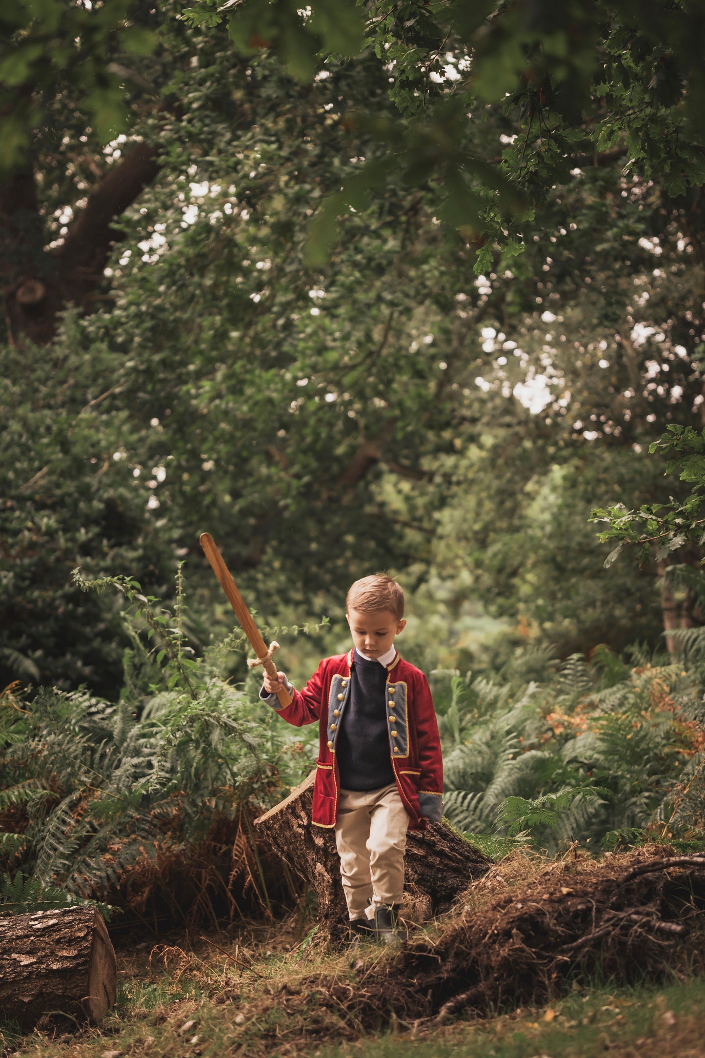Boys fancy dress costumes luxury