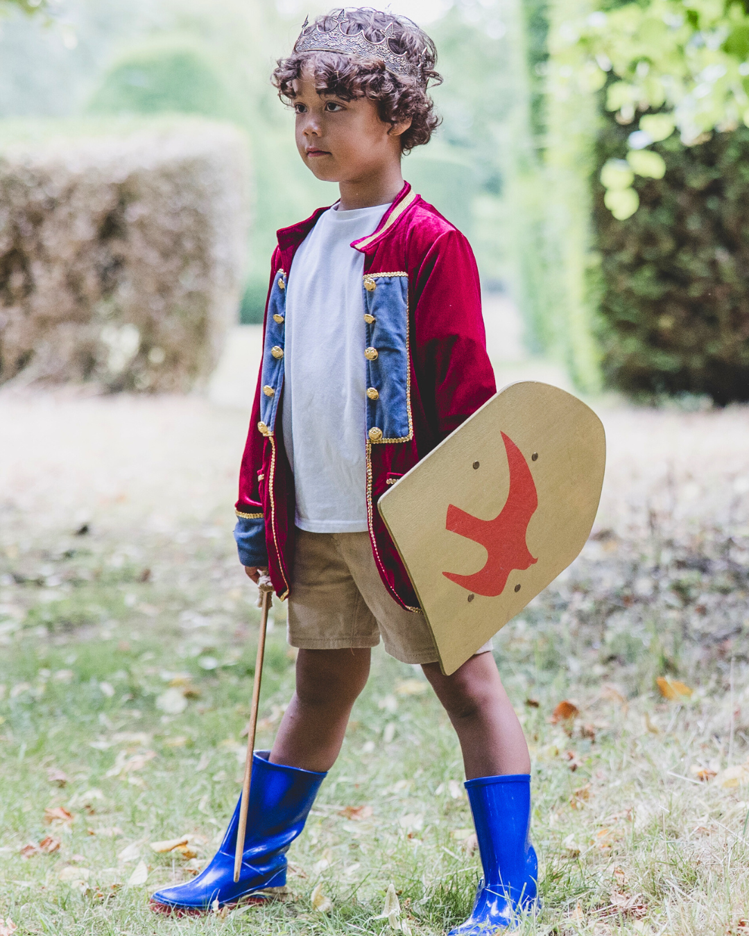 Prince coat for boys, red velvet, gold buttons, luxury