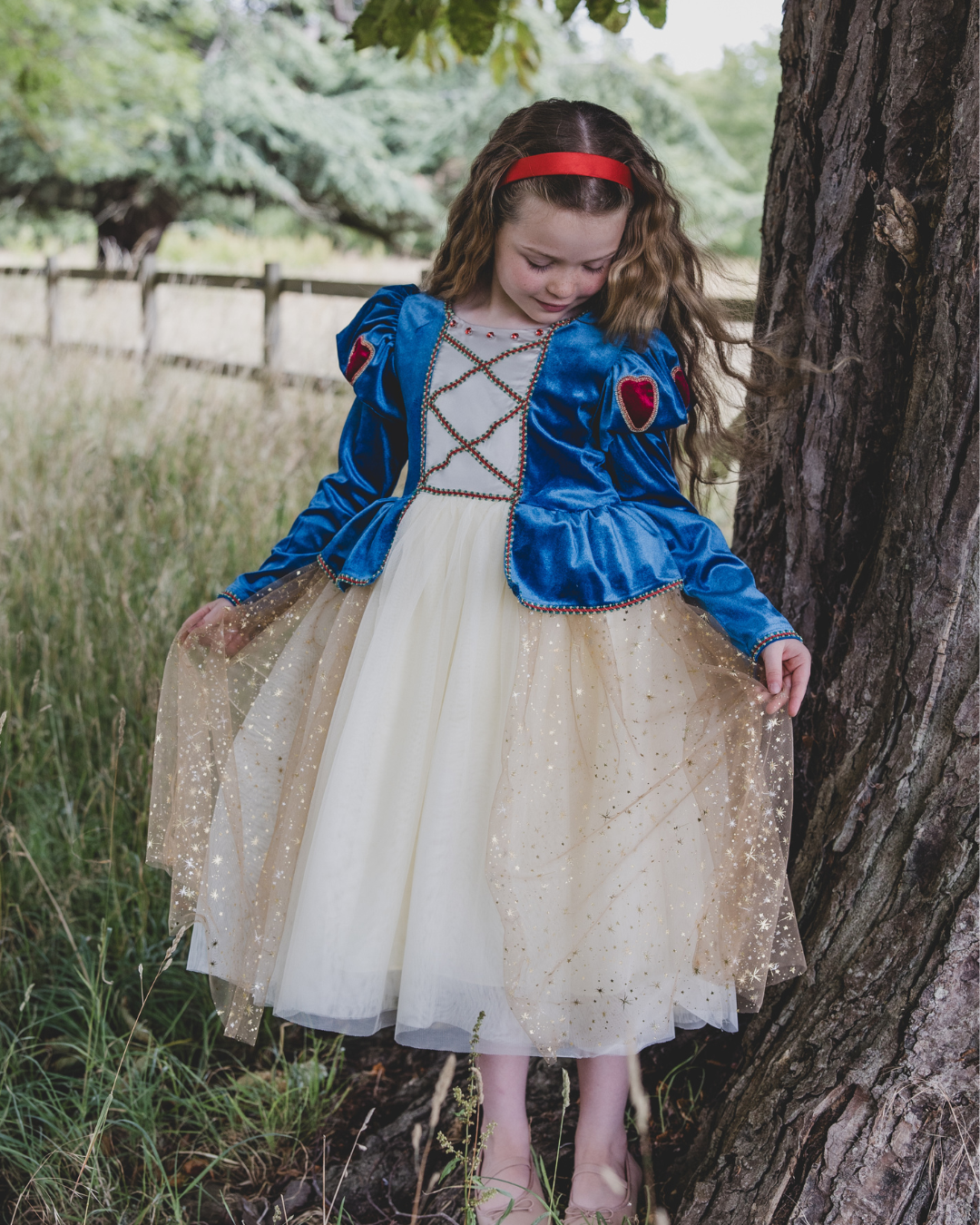 Luxury children's princess dress