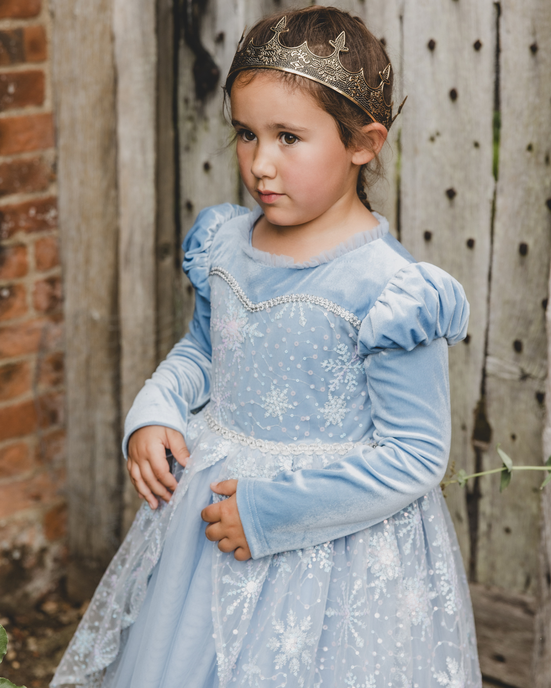 Frozen Inspired Princess Dress Blue velet