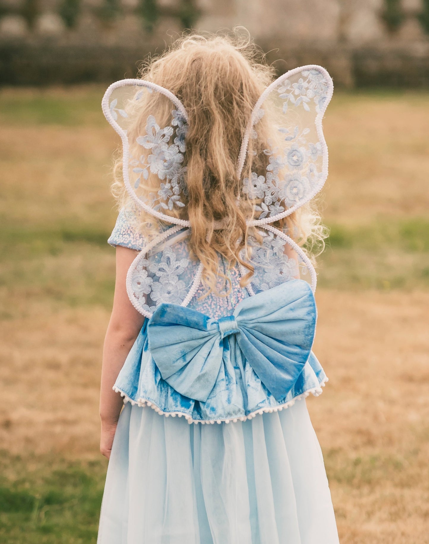 Daphne Fairy Wings