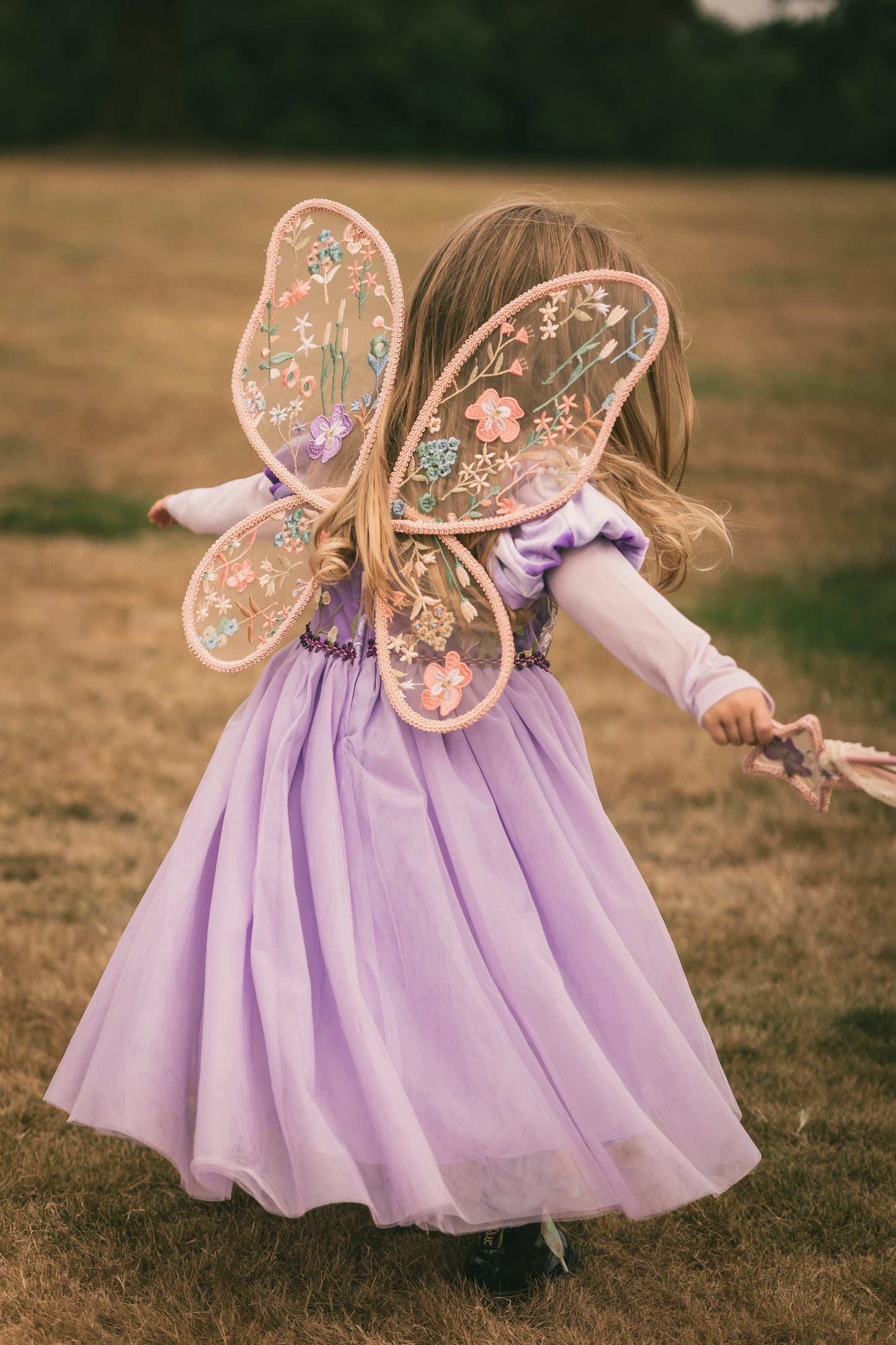 Posy Fairy Wings