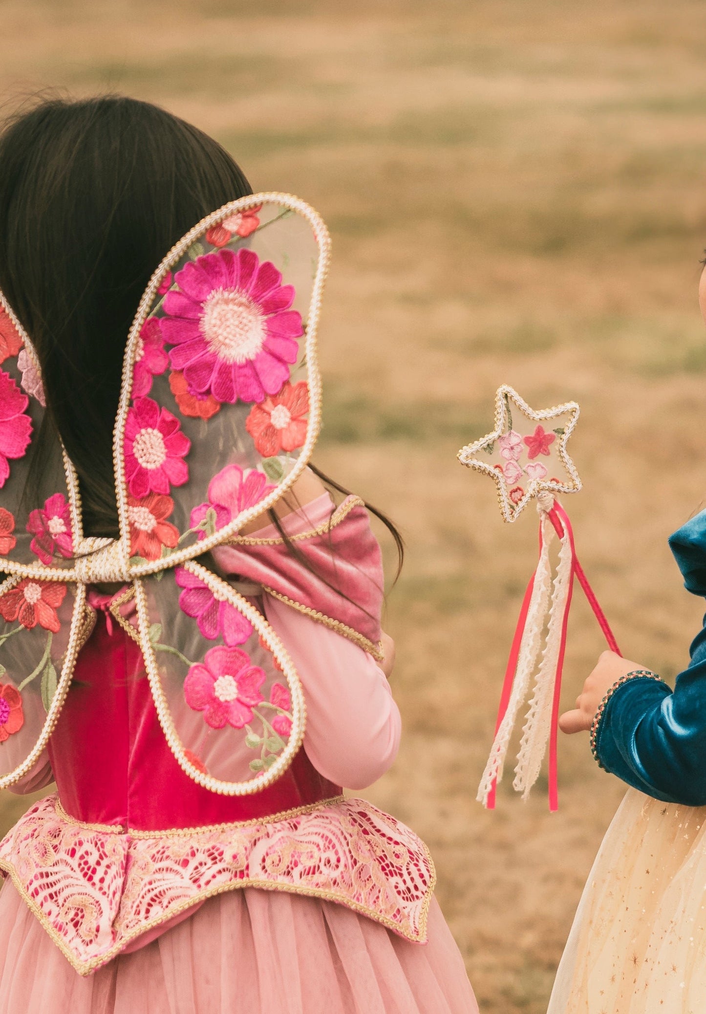 Rosa Fairy Wings