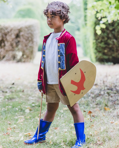 Prince coat for boys, red velvet, gold buttons, luxury 