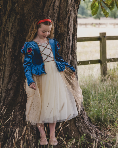 fairytale princess dress 