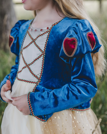 Blue velvet princess dress with embroidery detailing 