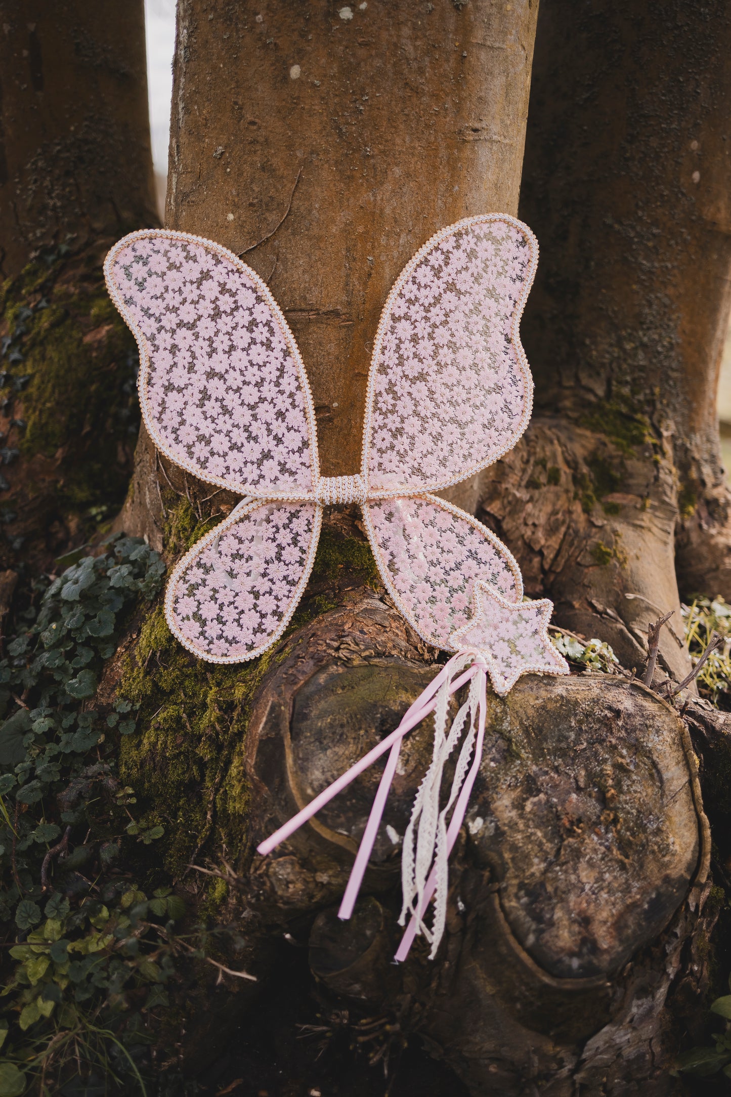 TheFairytaleWardrobe-Daisy Fairy Wings In the woods 